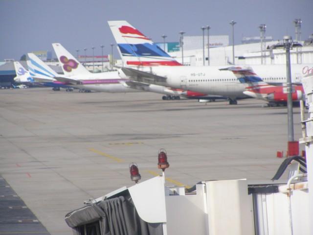 P5100036.JPG